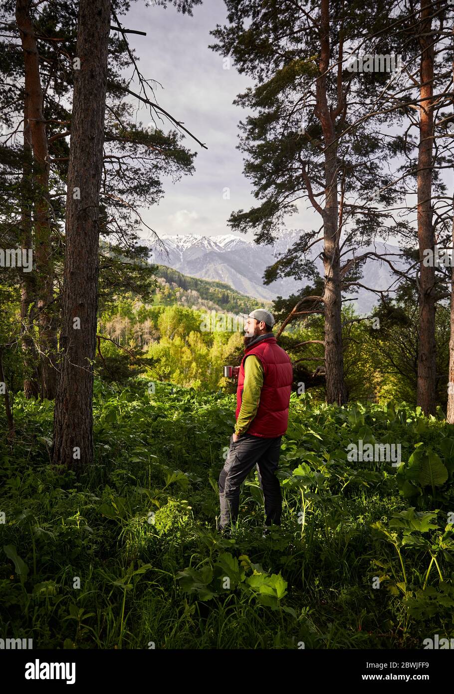 Turista con tazza di caffè nella foresta lussureggiante in montagna all'aperto Foto Stock