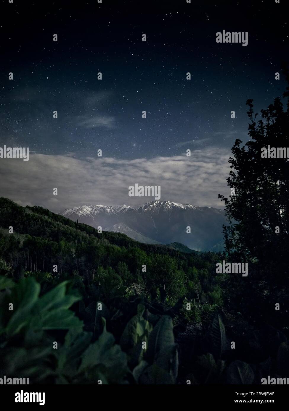 Splendido scenario di montagne bianche e lussureggiante vegetazione in primo piano contro il cielo notturno pieno di stelle. Astrofotografia e esposizione lunga. Foto Stock