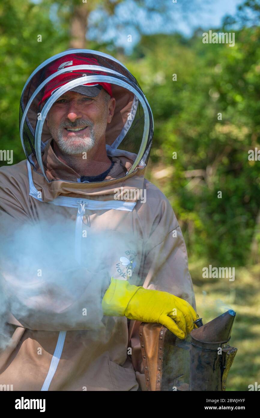 Un apicoltore che usa un fumatore per calmare le api. Foto Stock