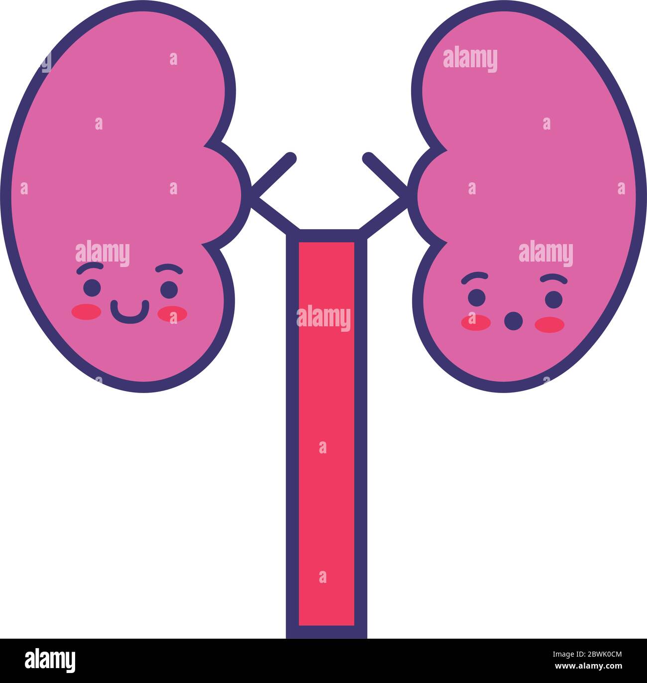 reni organo umano stile linea kawaii Illustrazione Vettoriale