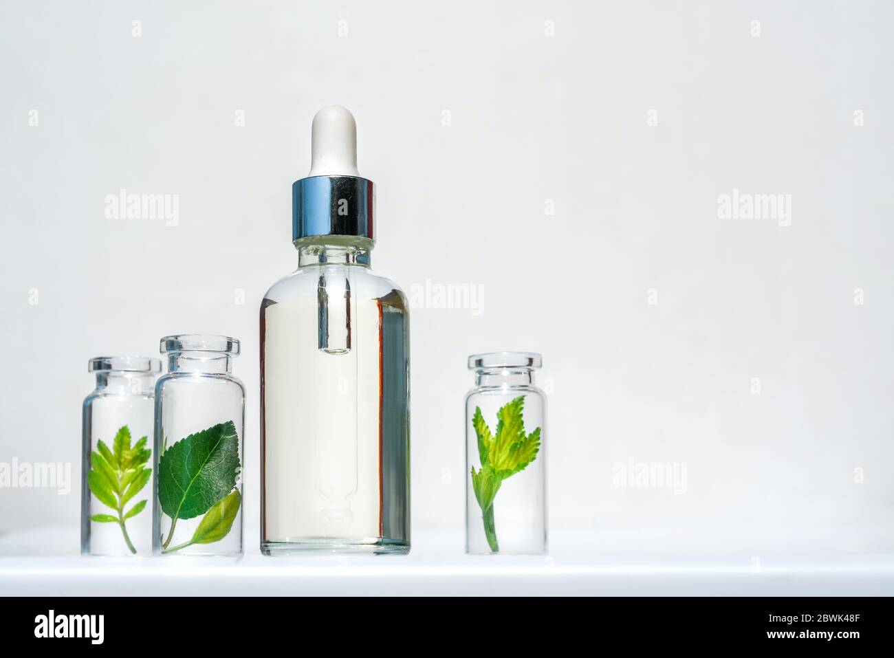 Oli vegetali omeopatici. Concetto di biologico, biosmetico e additivi alimentari Foto Stock