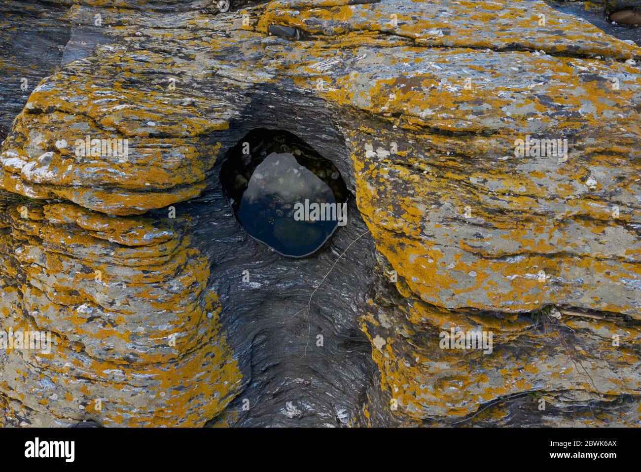 Laghetto naturale con piante d'acqua verde e rossa al centro di splendide rocce dettagliate nella cascata Puno do Lobo a Mertola, Portogallo al tramonto Foto Stock