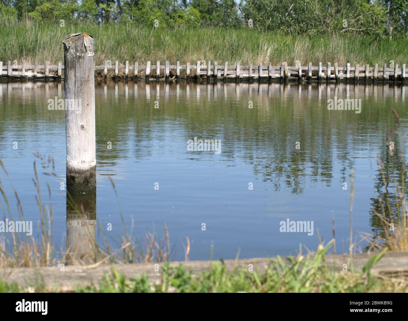 Un palo di legno nel canale tra il porto di Varel e la chiusa Foto Stock