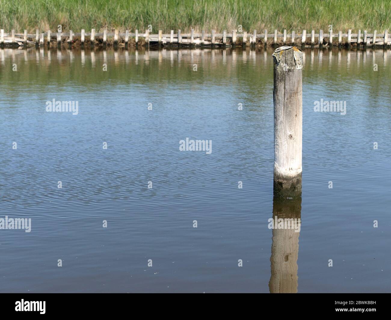 Un palo di legno nel canale tra il porto di Varel e la chiusa Foto Stock