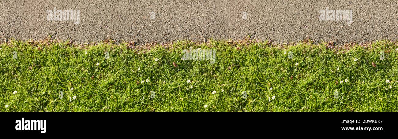 Linea verde dell'erba come bordo dall'alto come intestazione di sfondo Foto Stock