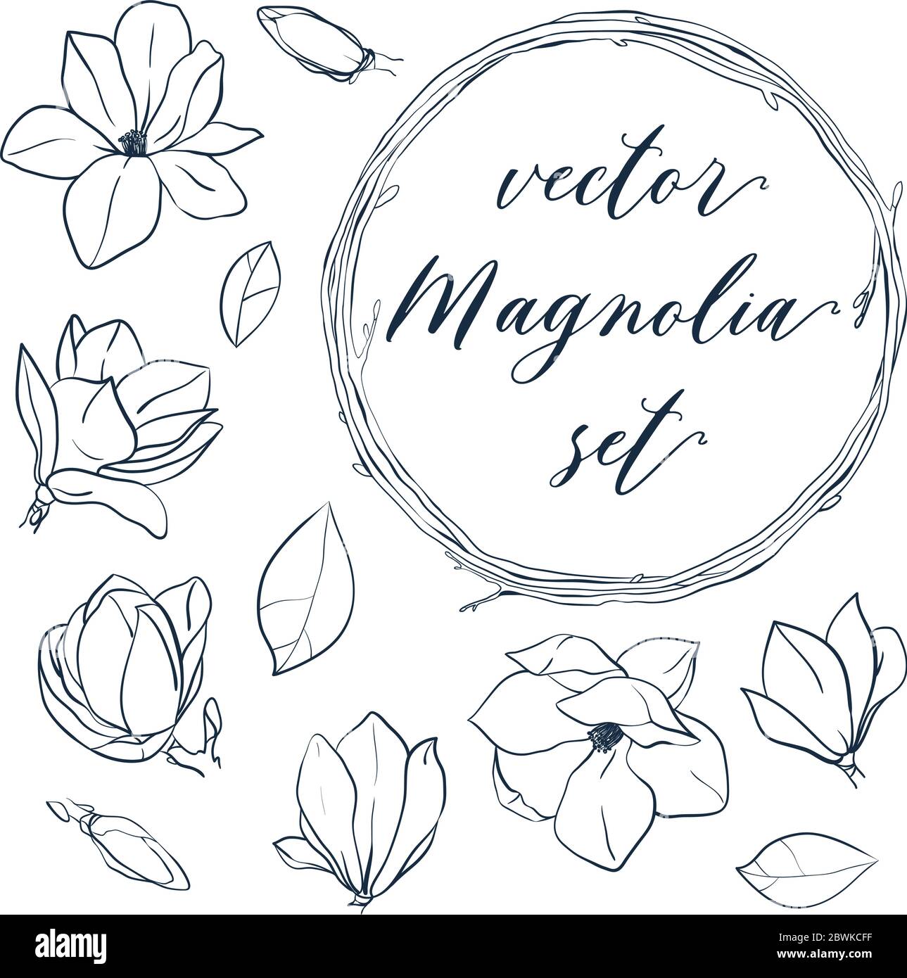 Set di magnolia isolata. Elementi vettoriali disegnati a mano in stile line art. Magnolia fiori, foglie, gemme e corona. Illustrazione Vettoriale
