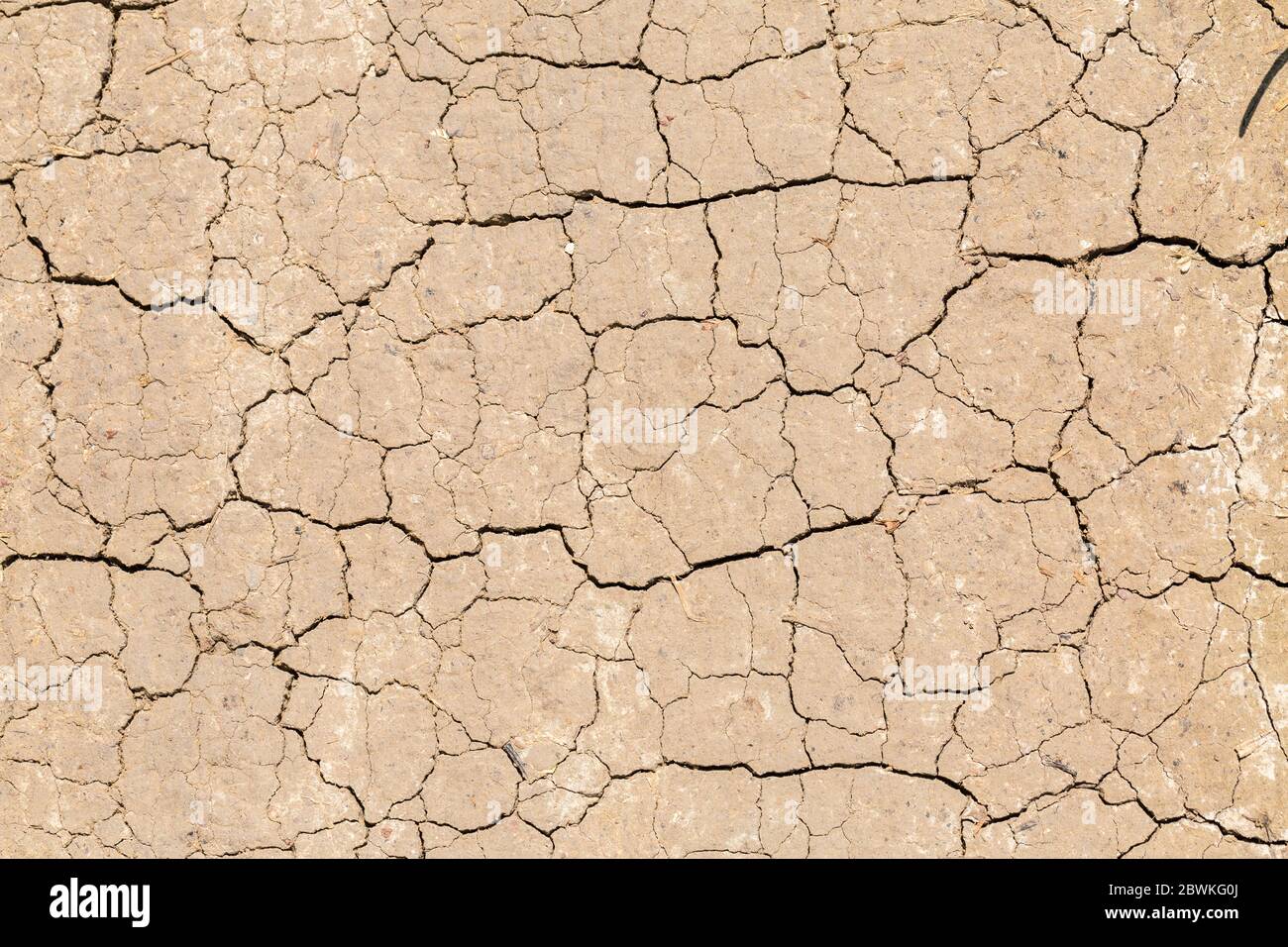 Vista dall'alto su terreno asciutto con crepe. Massa / massa incrinata. Simbolo per il cambiamento climatico, il riscaldamento globale, la siccità, la siccità o le terre desolate. Foto Stock