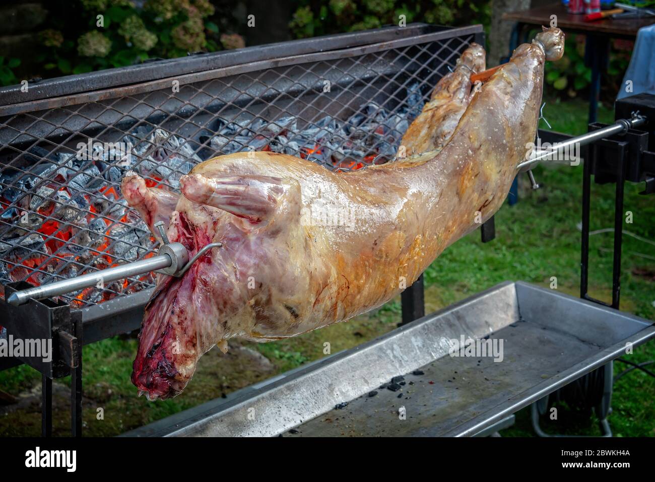 Mechoui, tradizionale barbecue di agnello arrosto. Carne arrosto su un fuoco aperto Foto Stock