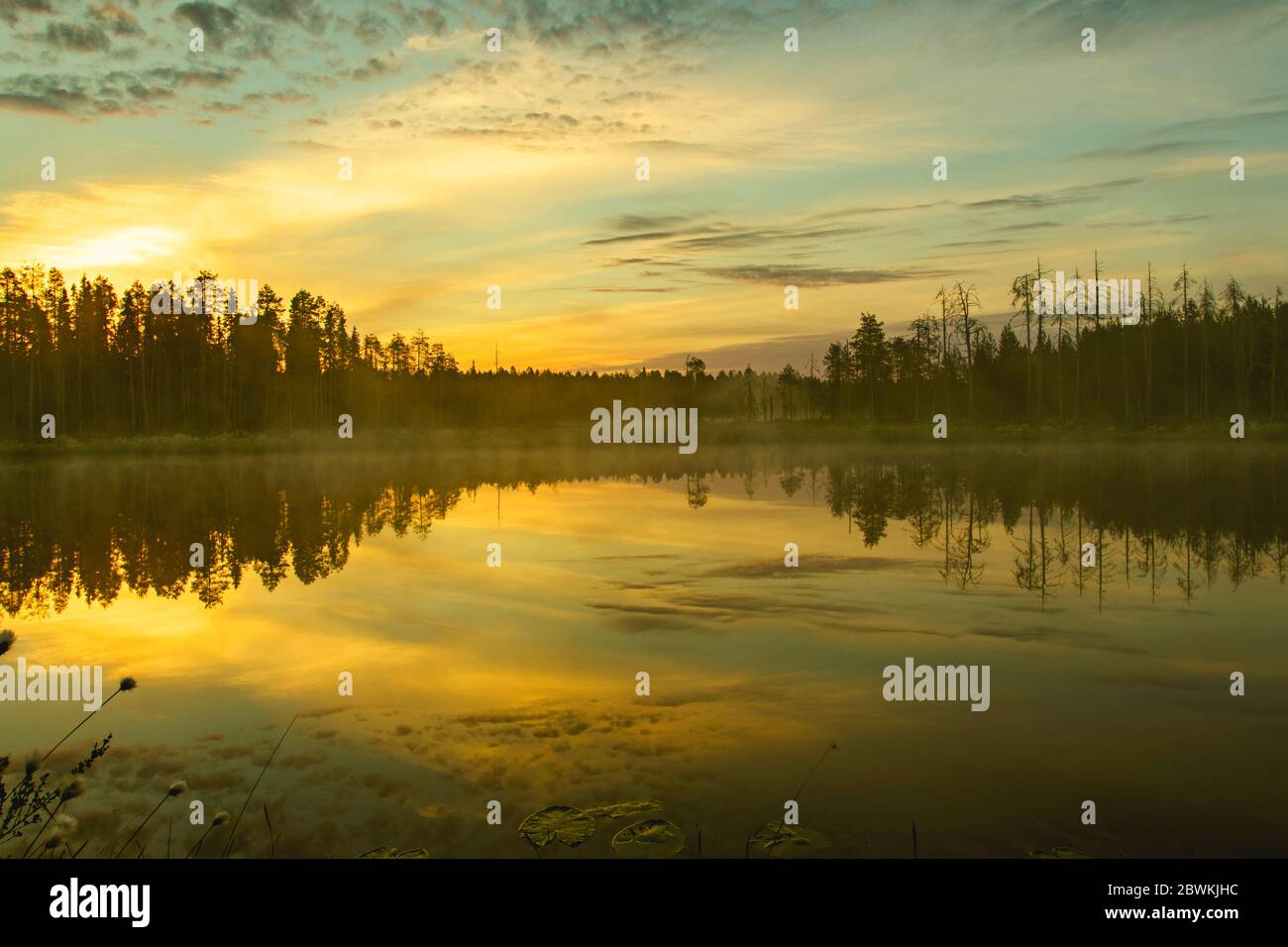 lago all'alba, Finlandia, Carelia Foto Stock