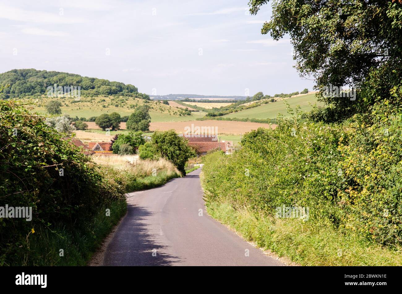 Una corsia di campagna si snoda attraverso il paesaggio ondulato delle colline di Dorset Downs accanto a Weatherby Hill nella Milborne Valley vicino a Tolpuddle, con BulBarr Foto Stock
