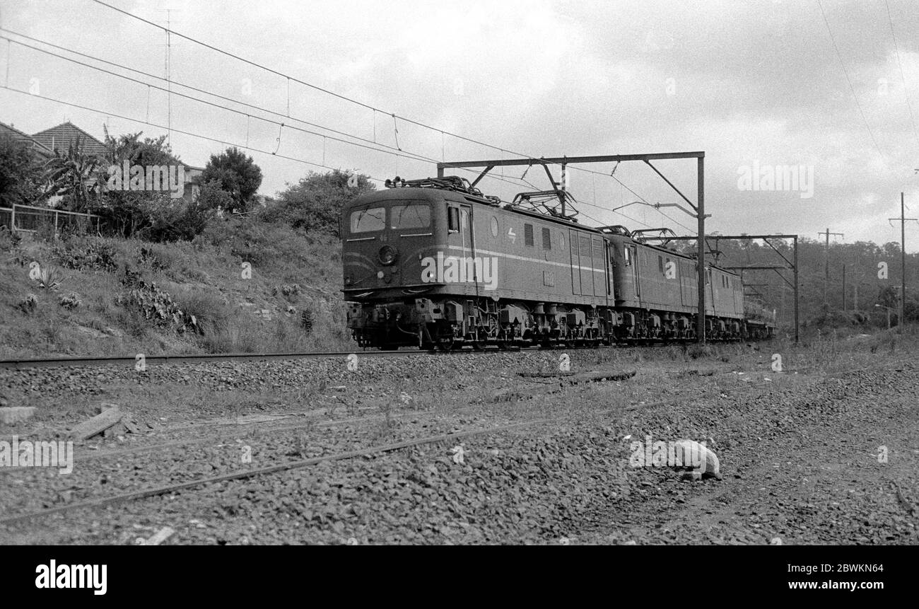 Locomotive elettriche NSWGR Classe 46 che tirano un treno merci a Gosford, nuovo Galles del Sud, Australia. 1987. Foto Stock