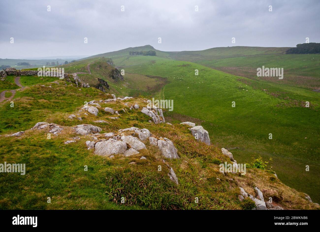 Il percorso escursionistico del Wall Path di Hardian corre lungo la cima dell'Highshield e dei Peel Crags sopra le brughiere di Steel Rigg nel Northumberland. Foto Stock