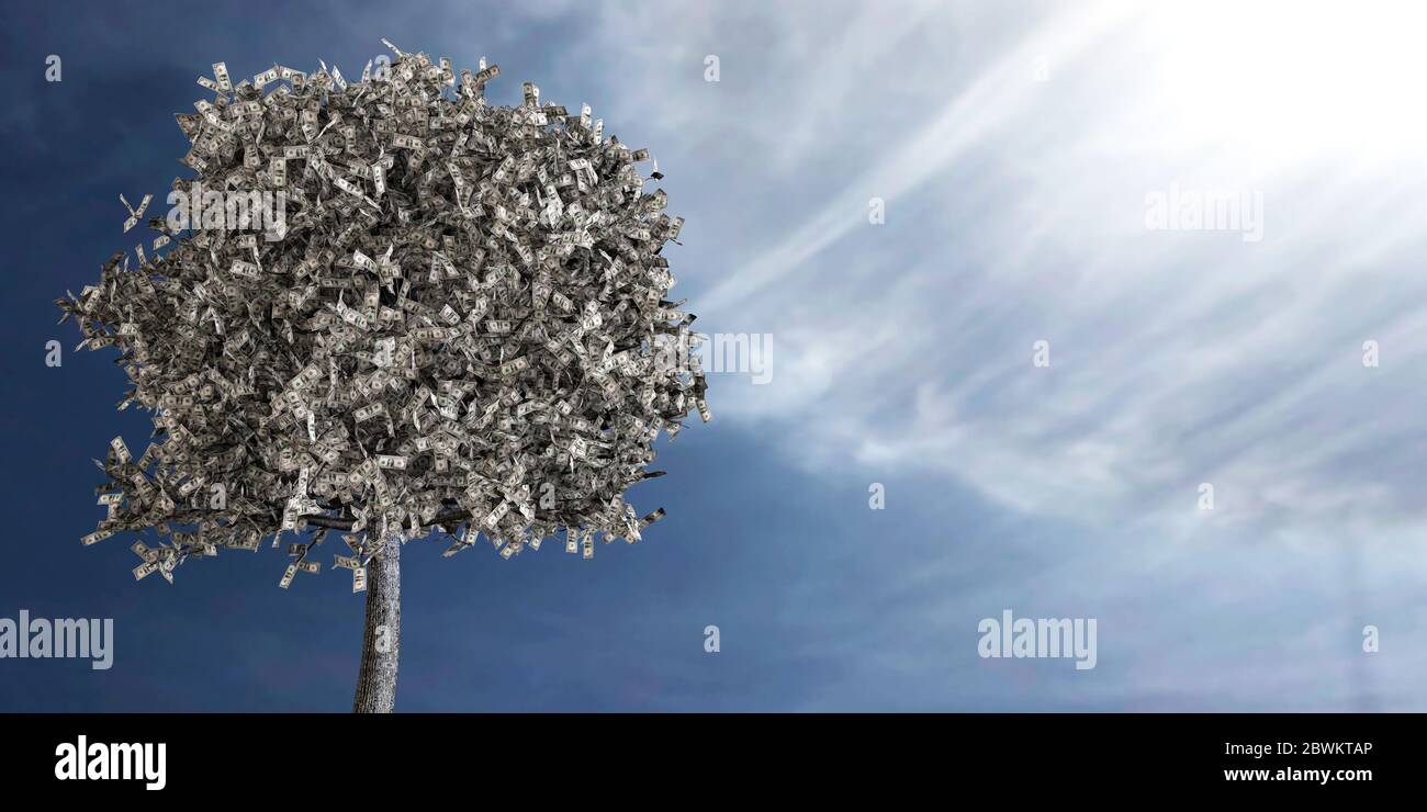 rendering 3d di dollari che crescono su un albero in una giornata intensa contro il cielo blu Foto Stock