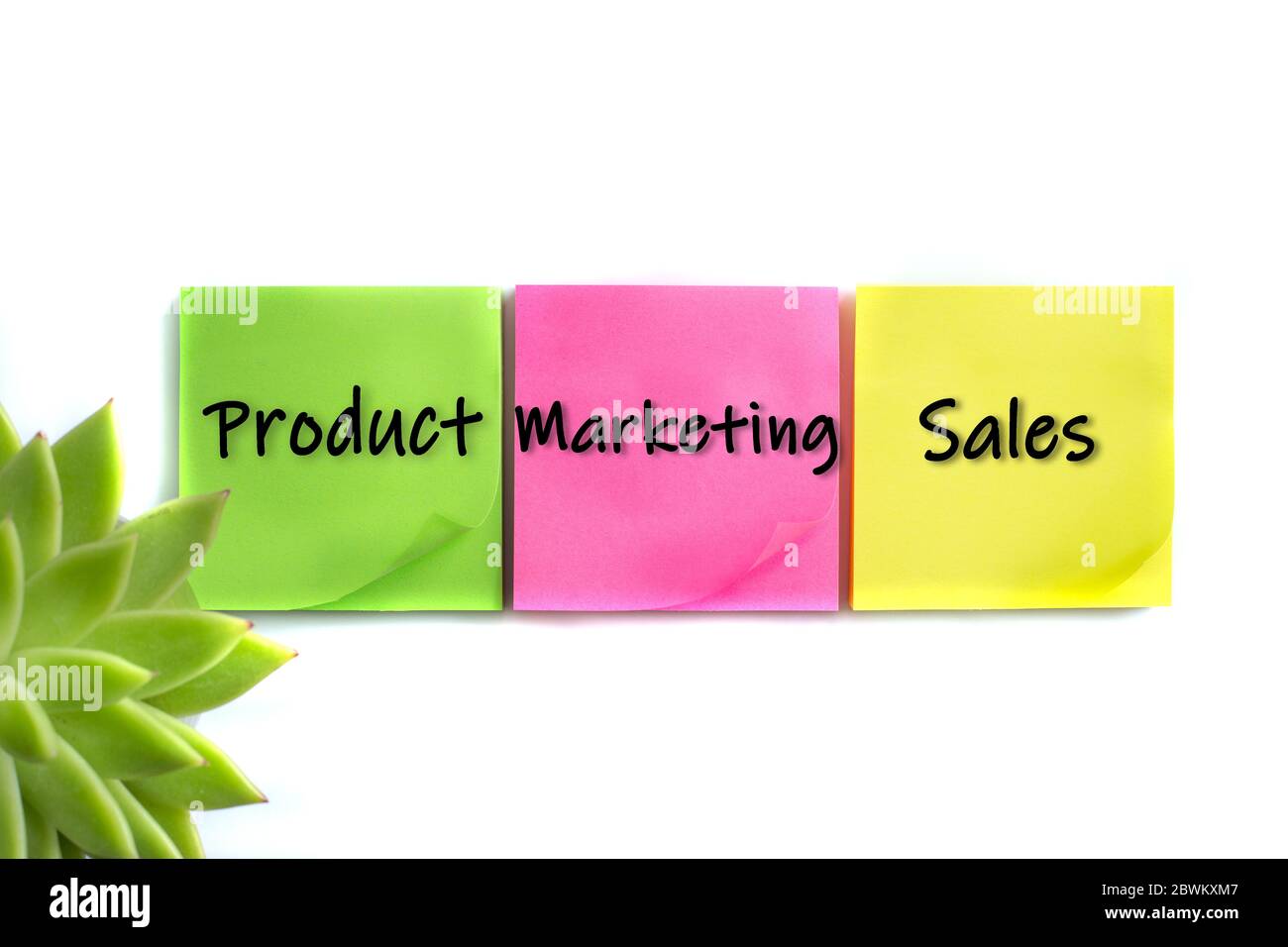 Parole prodotto, Marketing, Vendite su note adesive colorate e pianta domestica in morbido fuoco su sfondo bianco. Ambiente aziendale, brainstorming. Trovare le risposte alla strategia di marketing Foto Stock
