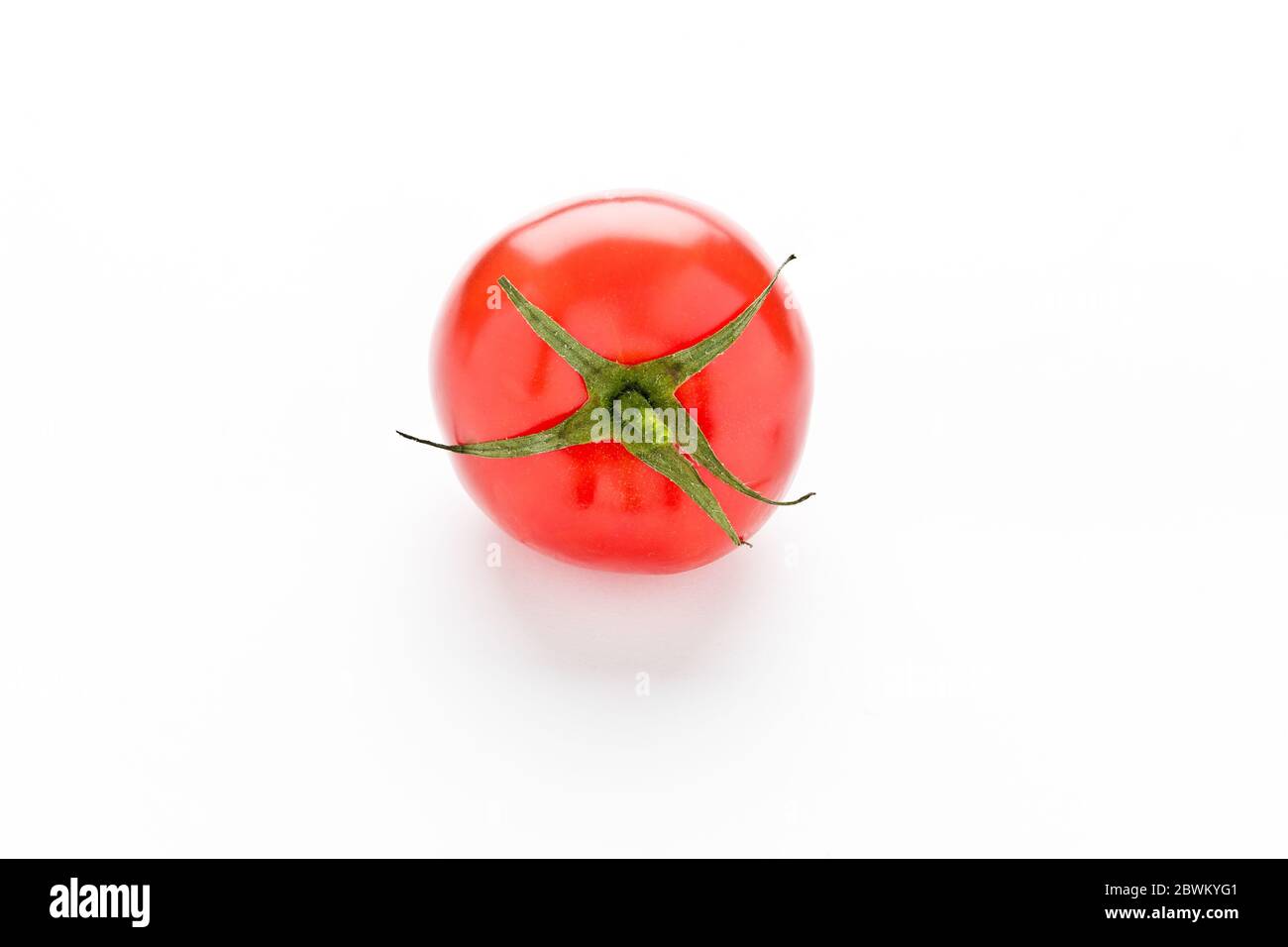 Solanum lycopersicum, il cui frutto è il pomodoro, comunemente noto come pomodoro, è una specie di pianta erbacea del genere Solanum della confamia di Solanaceae Foto Stock