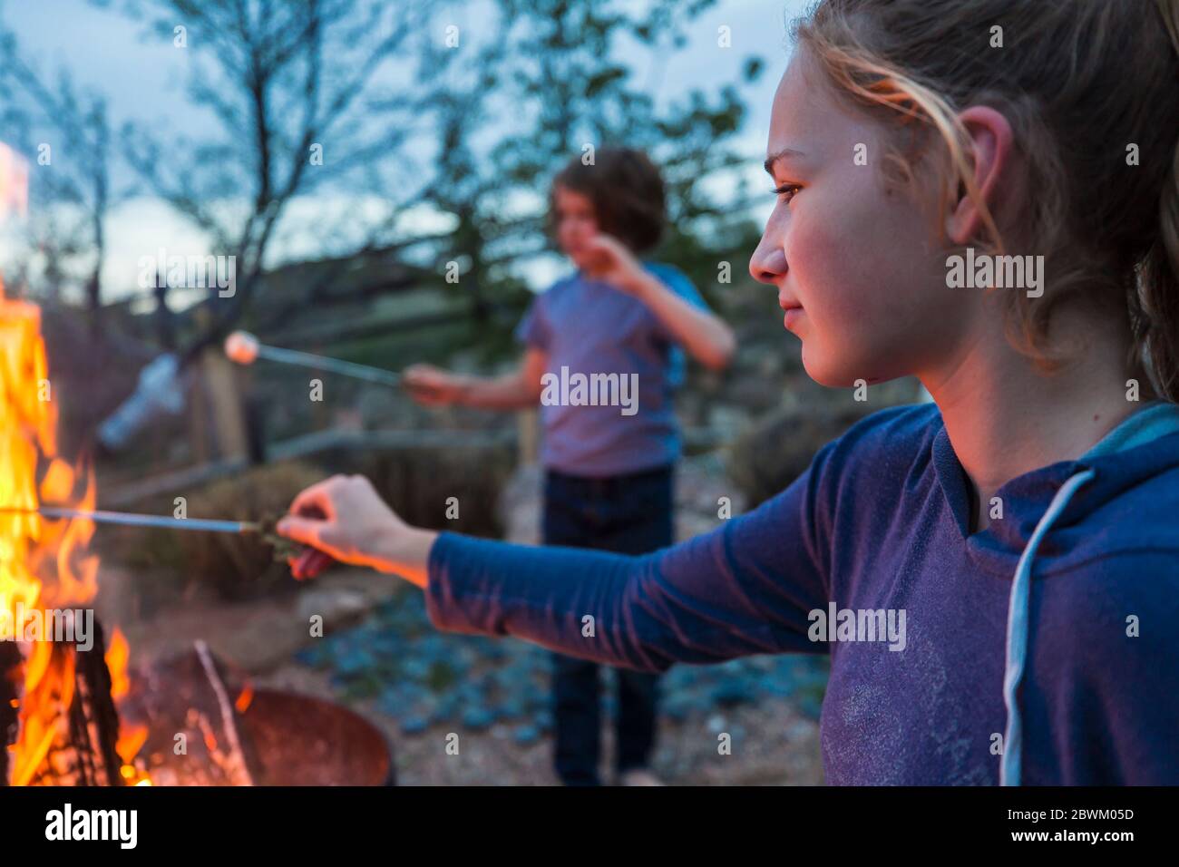 Una ragazza adolescente che fa smash con suo fratello su un fuoco in un giardino al crepuscolo. Foto Stock
