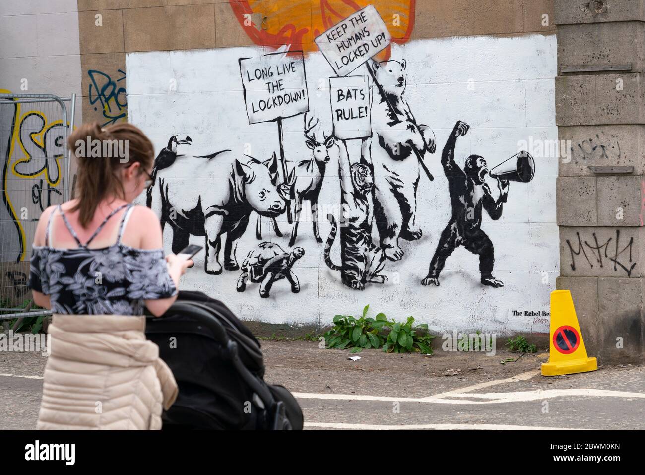 Edimburgo, Scozia, Regno Unito. 2 giugno 2020. Il nuovo murale a tema di Lockdown Covid-19 dell'artista Rebel Bear appare su un muro di Edimburgo. Iain Masterton/Alamy Live News Foto Stock
