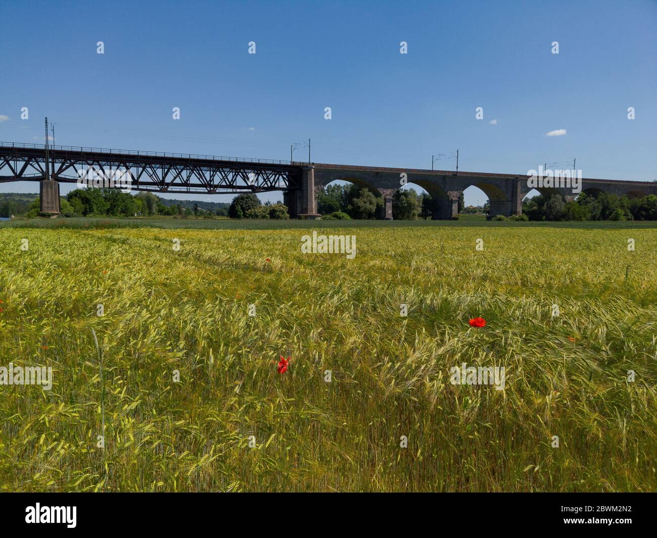Vista panoramica del vecchio ponte ferroviario con archi in pietra e campo di grano con fiori di papavero rosso vicino a Ratisbona, Baviera, Germania Foto Stock