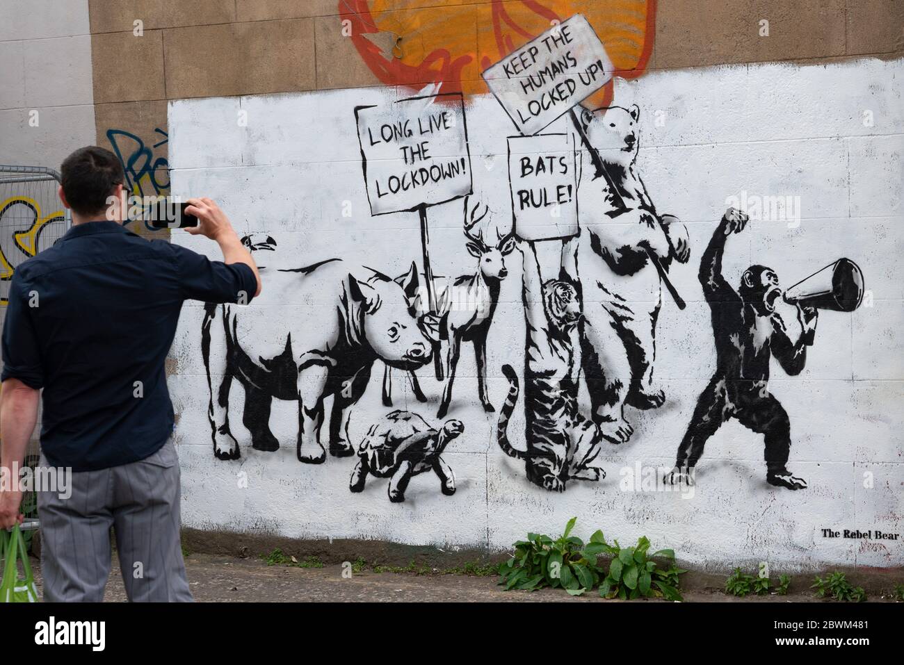 Edimburgo, Scozia, Regno Unito. 2 giugno 2020. Il nuovo murale a tema di Lockdown Covid-19 dell'artista Rebel Bear appare su un muro di Edimburgo. Iain Masterton/Alamy Live News Foto Stock