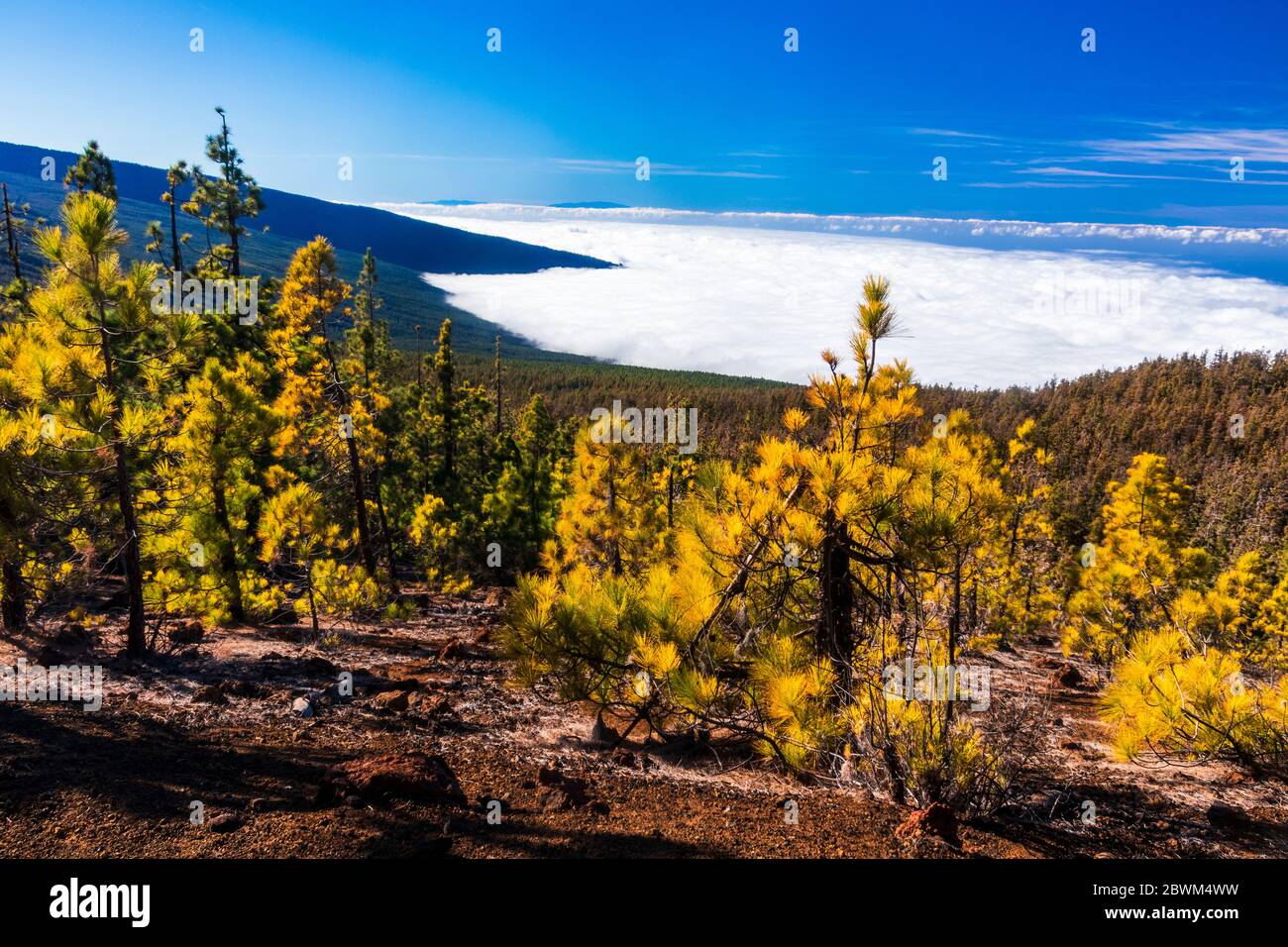 Escursioni sopra le nuvole intorno alla Caldera nella valle di Orotava sotto l'ombra del Monte Teide Tenerife Foto Stock