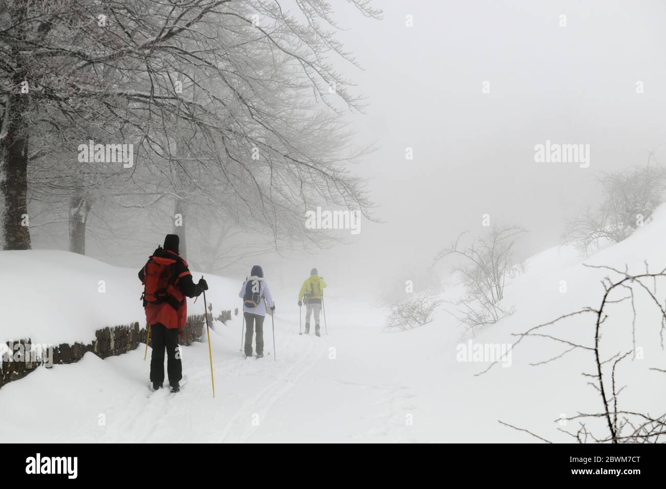 Tre sciatori di fondo che si godono attività all'aperto nelle montagne invernali Nebrodi Punto di riferimento naturale in Sicilia Foto Stock