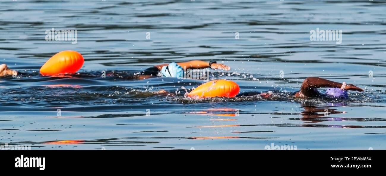 Due triatleti neri nuotano insieme a bouys di sicurezza arancione che si allenano dietro di loro per un triathlon. Foto Stock