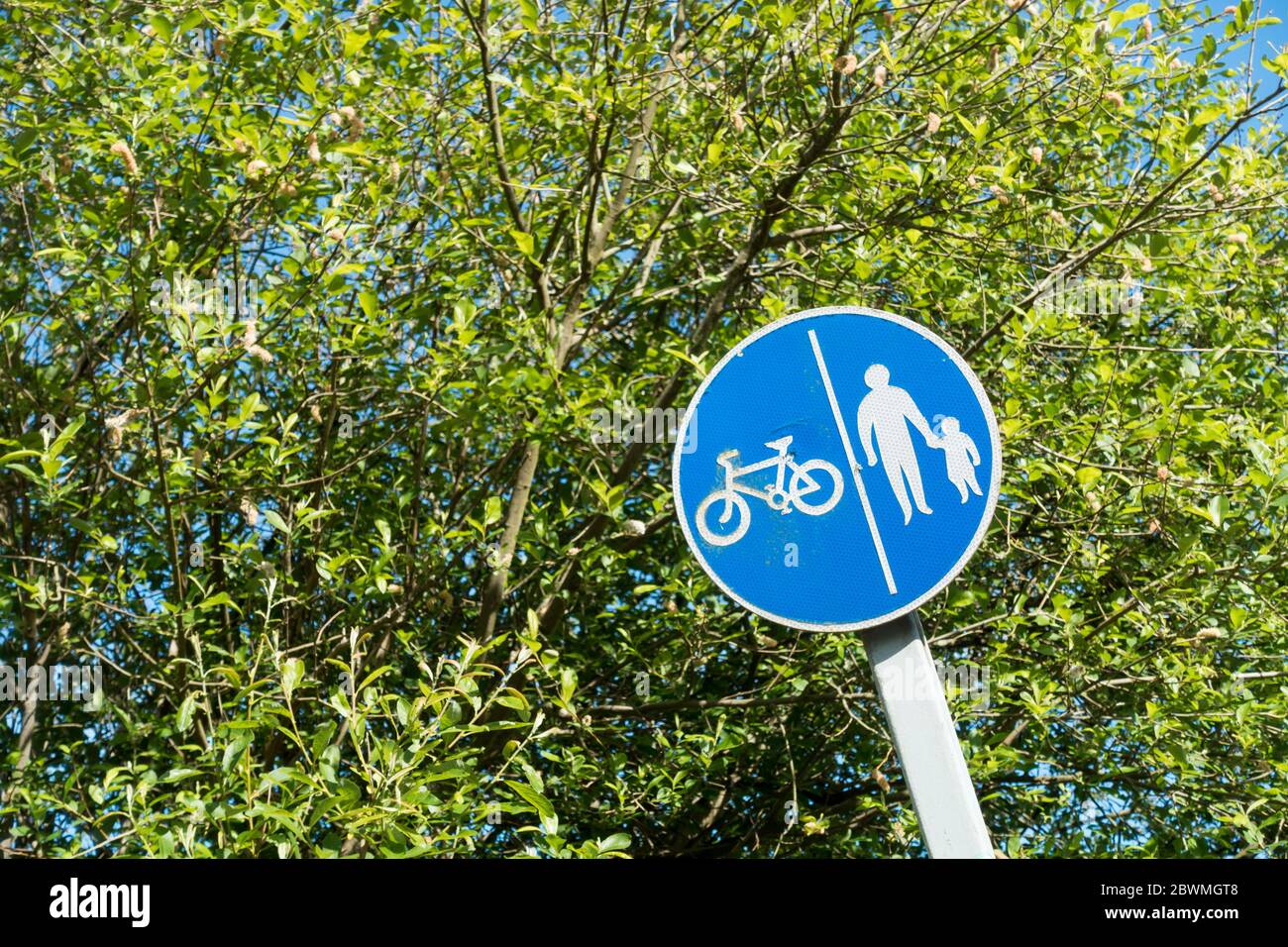 Pedone e segnale ciclabile, Regno Unito Foto Stock