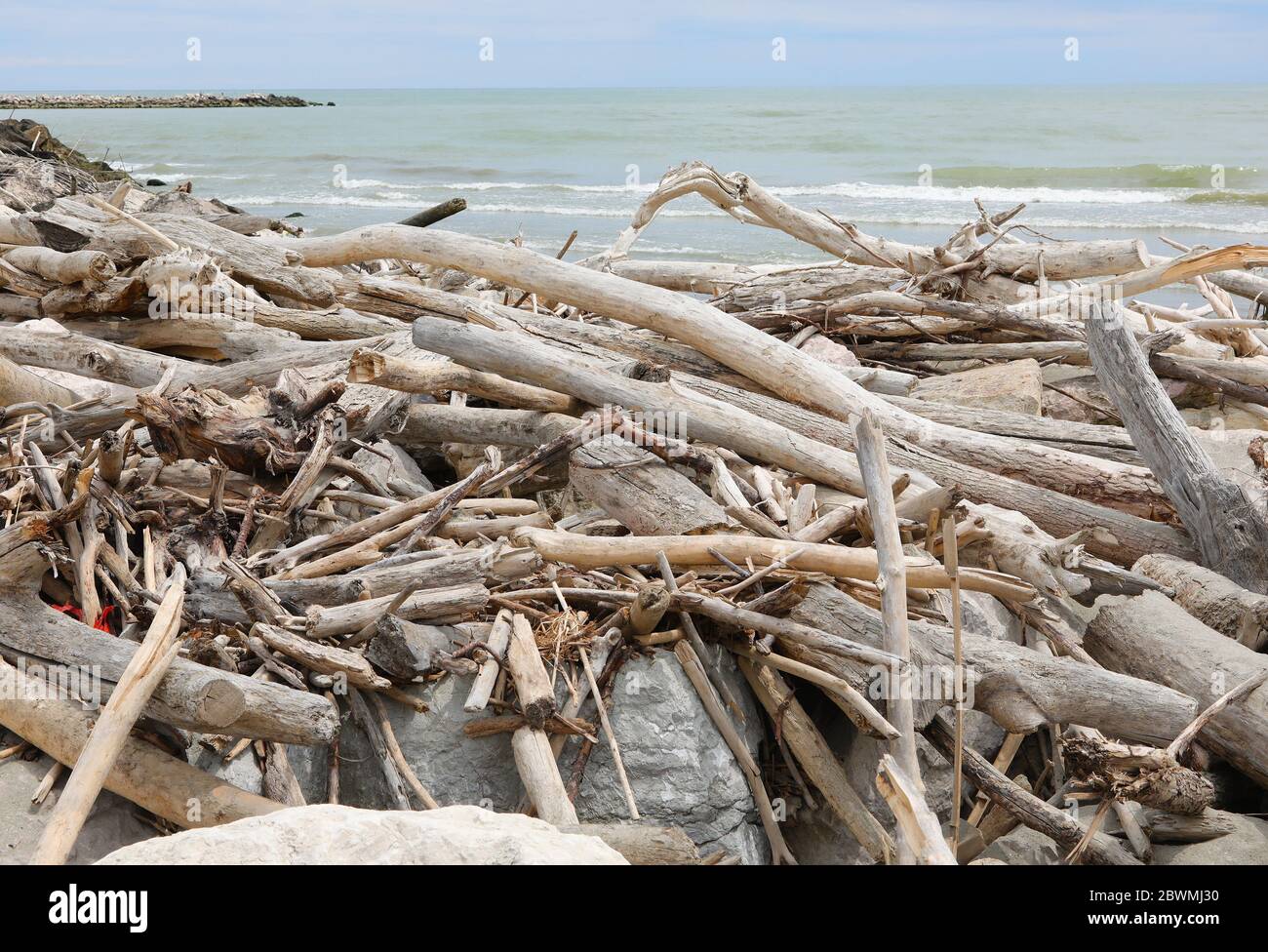 molti rami secchi trascinati dal fiume verso il mare e lisciati dalle onde  Foto stock - Alamy