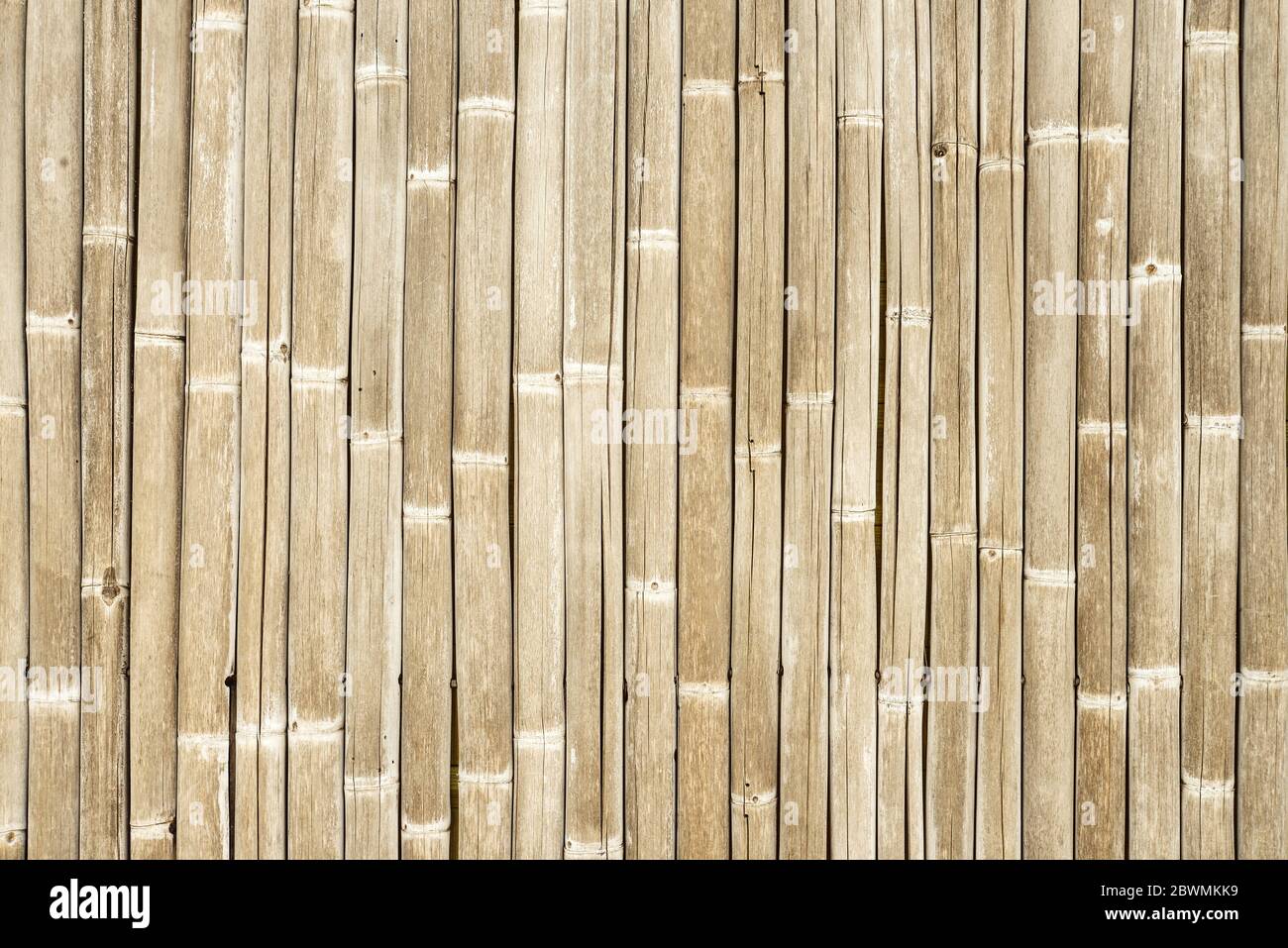 Sfondo bianco di recinzione di bambù, struttura di recinzione di bambu Foto Stock