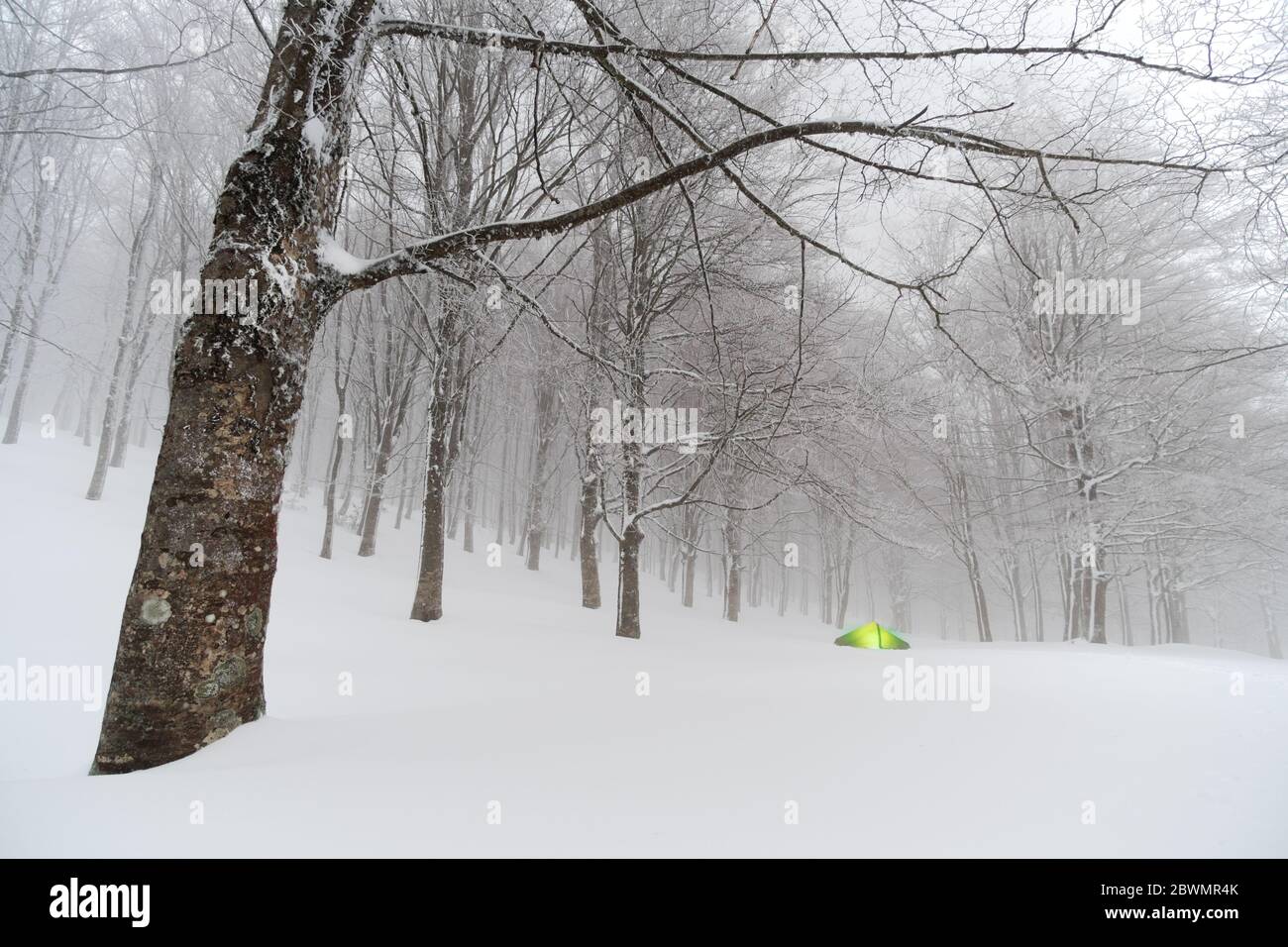 Campo invernale nella foresta di neve dei Monti Nebrodi punto di riferimento naturale in Sicilia avventura di viaggio selvaggio all'aperto Foto Stock