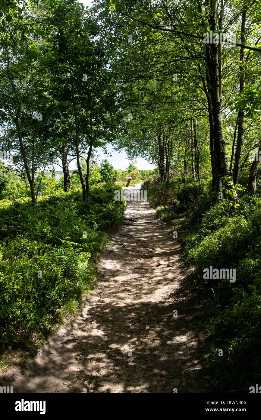 Un percorso di campagna attraverso i boschi intorno Digley Reservoir nel West Yorkshire popolare tra escursionisti e rampori per splendide viste sulla brughiera. Foto Stock