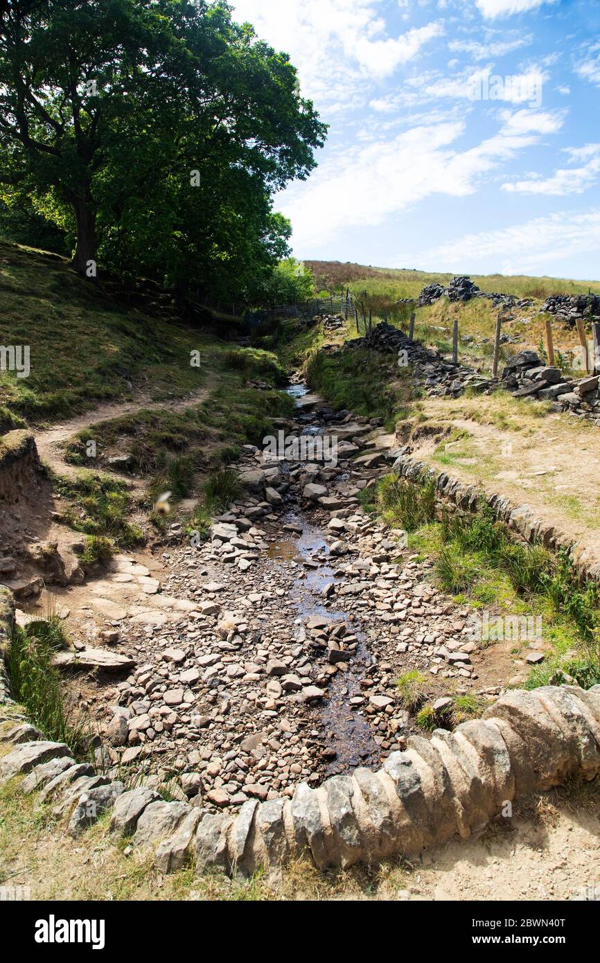 Un ruscello di brughiera nello Yorkshire occidentale sopra il bacino idrico di Digley sulle brughiere dello Yorkshire sopra Holmfirth in un caldo giorno d'estate. Foto Stock