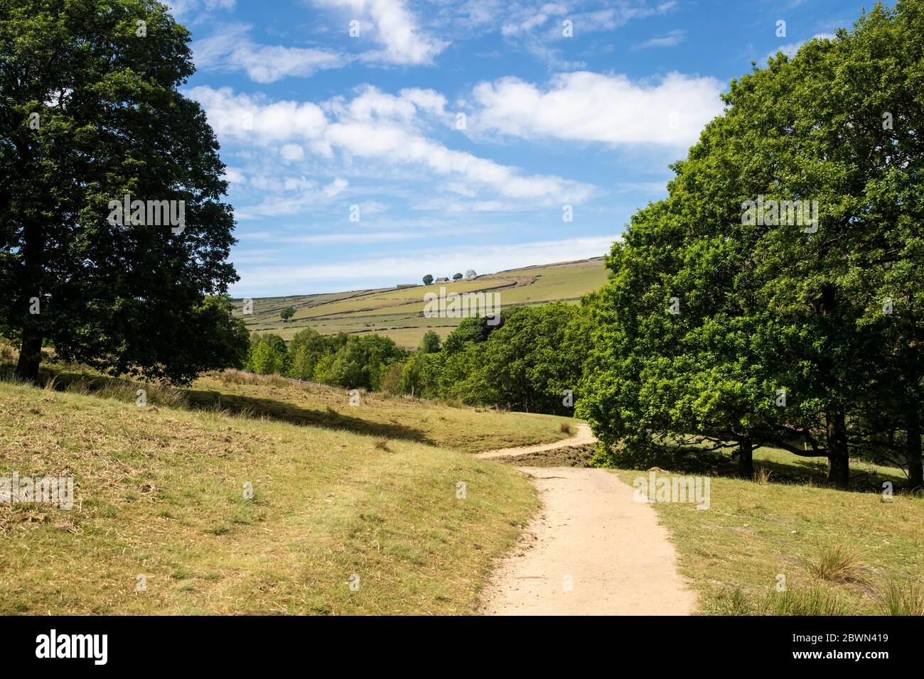 La brughiera Yorkshire Pennine sopra la valle Holme con vegetazione sparsa è popolare tra escursionisti e diligenti, in particolare nelle giornate estive soleggiate Foto Stock