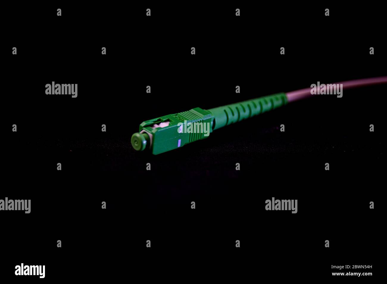 Connettore in fibra ottica per Internet al mondo Foto Stock