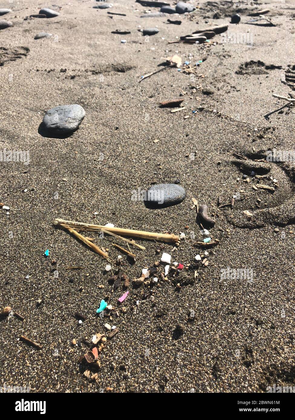 Micro inquinamento plastico tra le rocce a Sandy Beach, Maui Hawaii USA Foto Stock