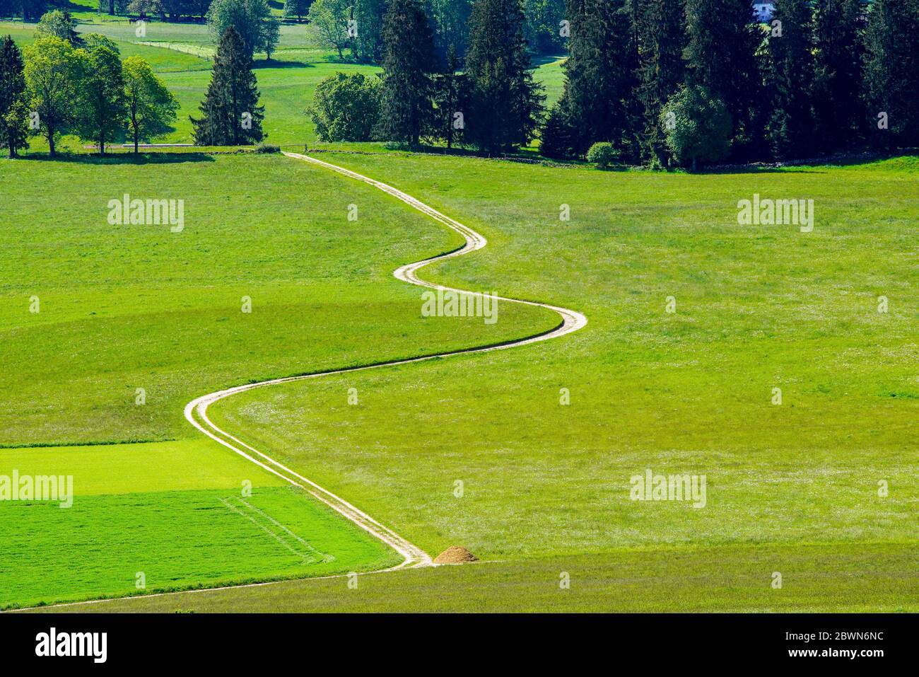 Vista dall'alto di una strada curva attraverso un pascolo durante la stagione estiva, montagne del Giura, Svizzera. Foto Stock