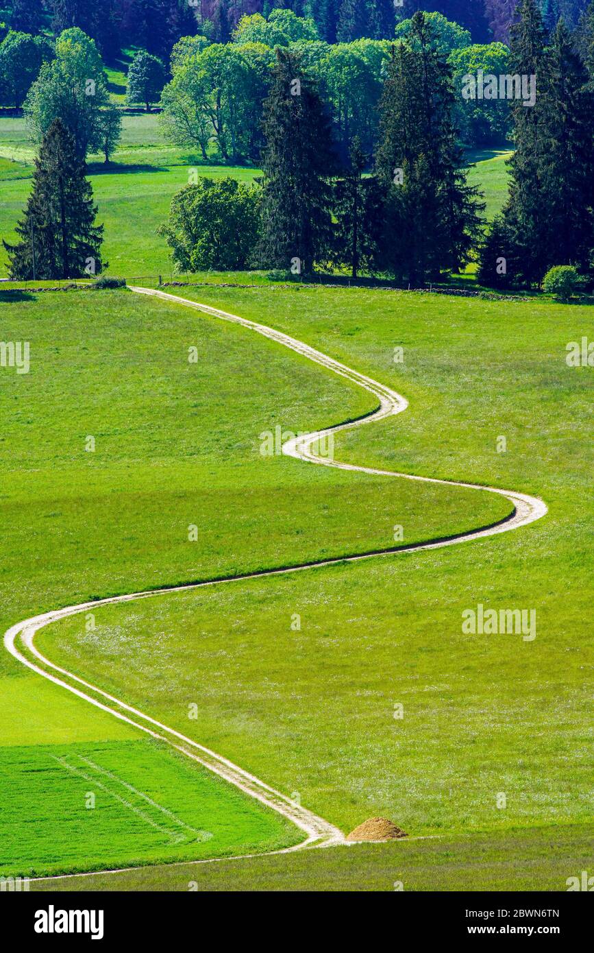 Vista dall'alto di una strada curva attraverso un pascolo durante la stagione estiva, montagne del Giura, Svizzera. Foto Stock