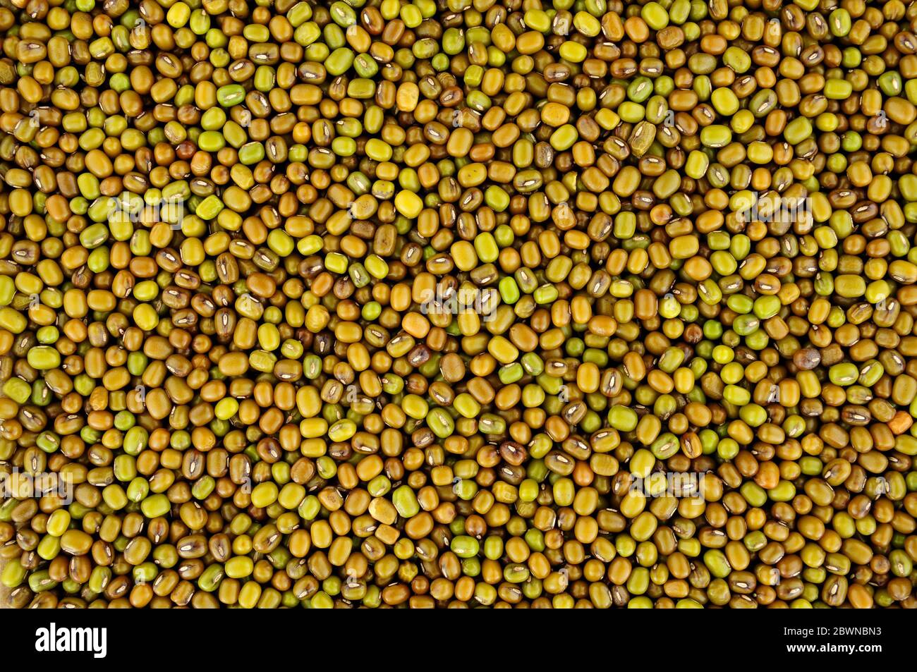 Fondo di fagiolo di mung crudo, conosciuto anche come grammo verde e maash Foto Stock