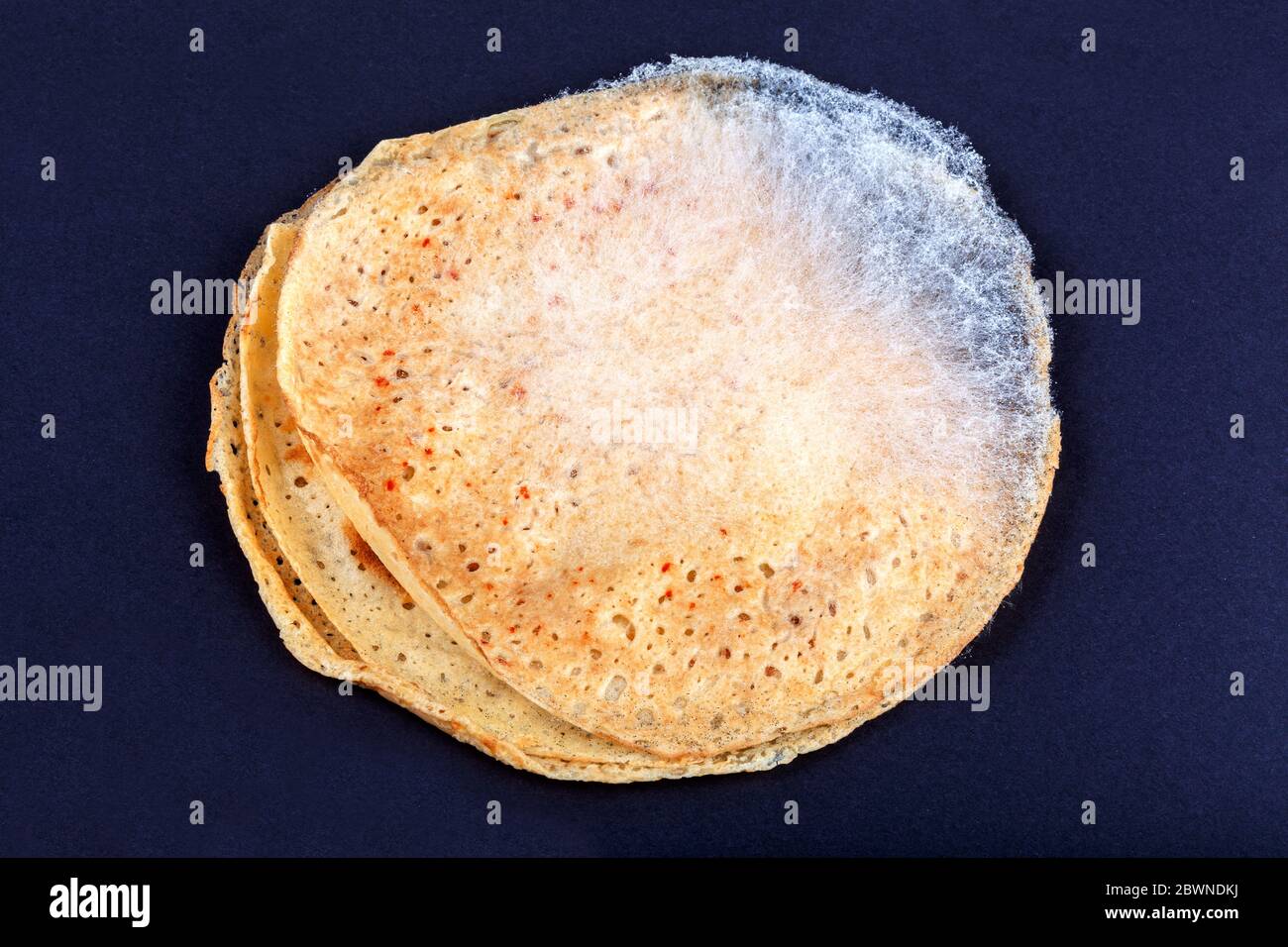 La frittella è viziata, il cibo è andato male. Spore di muffa fungina che crescono su una superficie di pasta rotonda su sfondo scuro. Edibili, data di scadenza dei prodotti Foto Stock