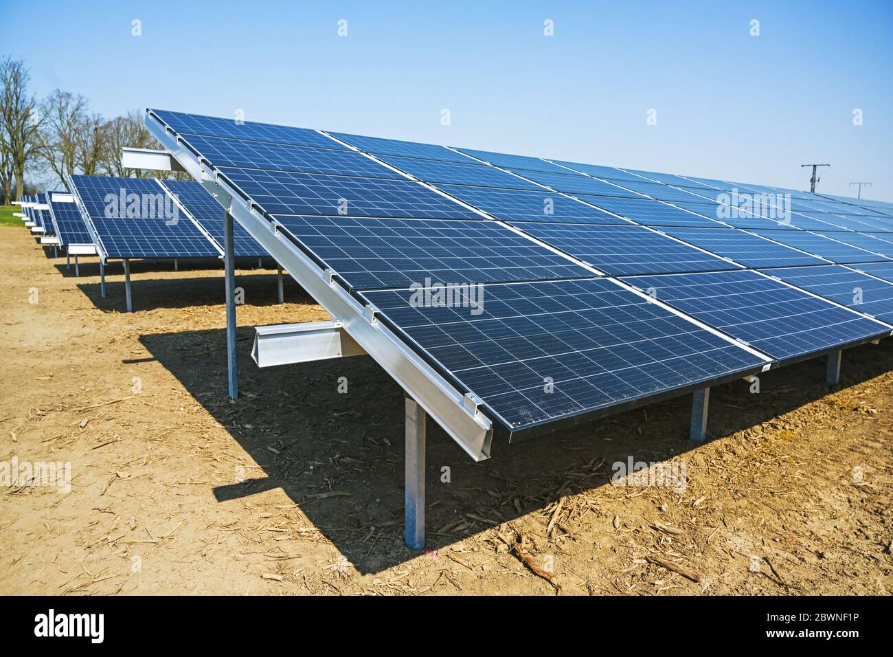 Campo con collettori solari termici, i pannelli generano energia rinnovabile con tecnologia fotovoltaica, cielo blu con spazio di copia, fuoco selezionato, stretto Foto Stock