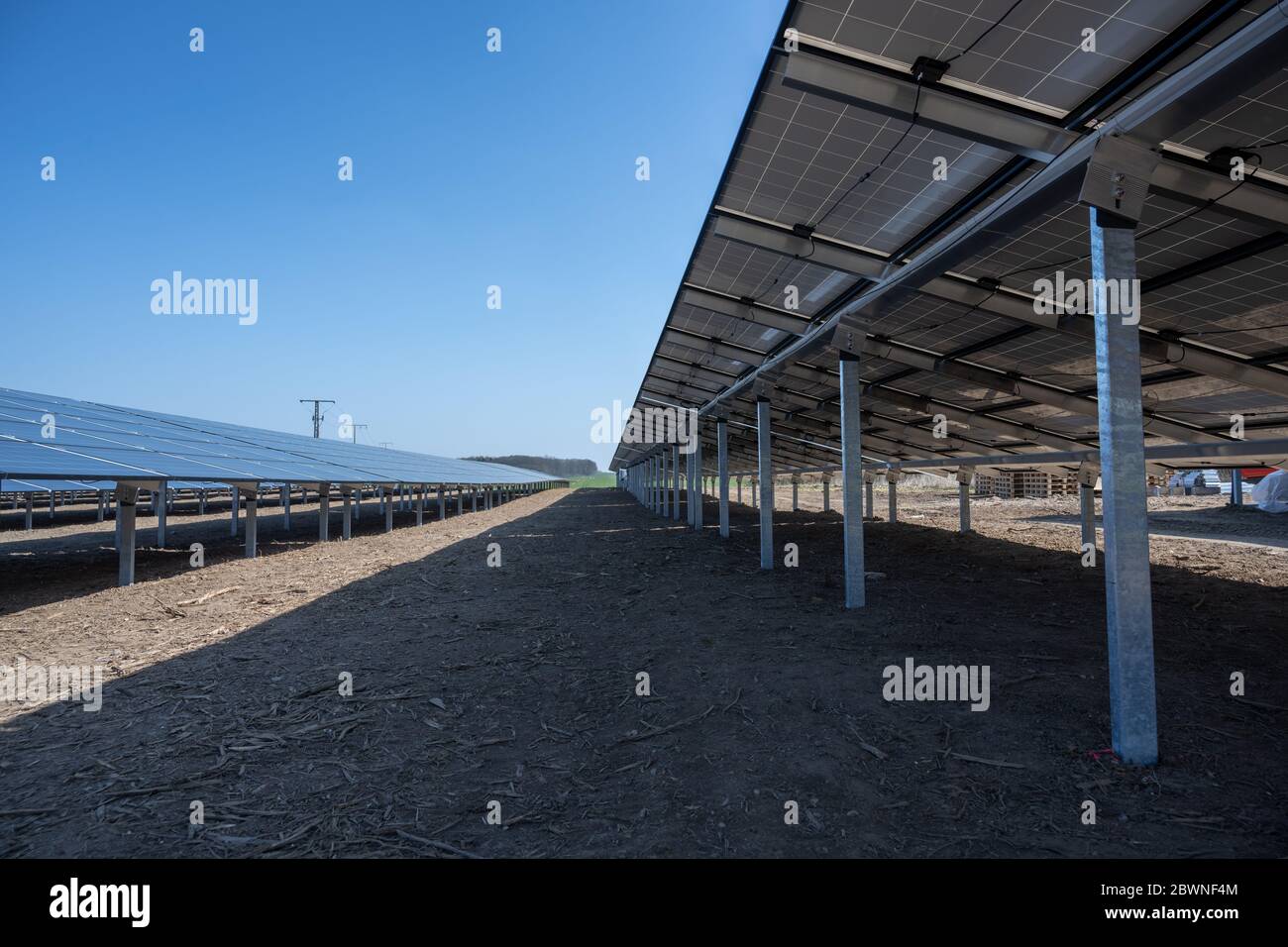 campo solare termico collettore, vista dal basso, i pannelli generano energia rinnovabile con tecnologia fotovoltaica, cielo blu con spazio copia, selezionato fo Foto Stock