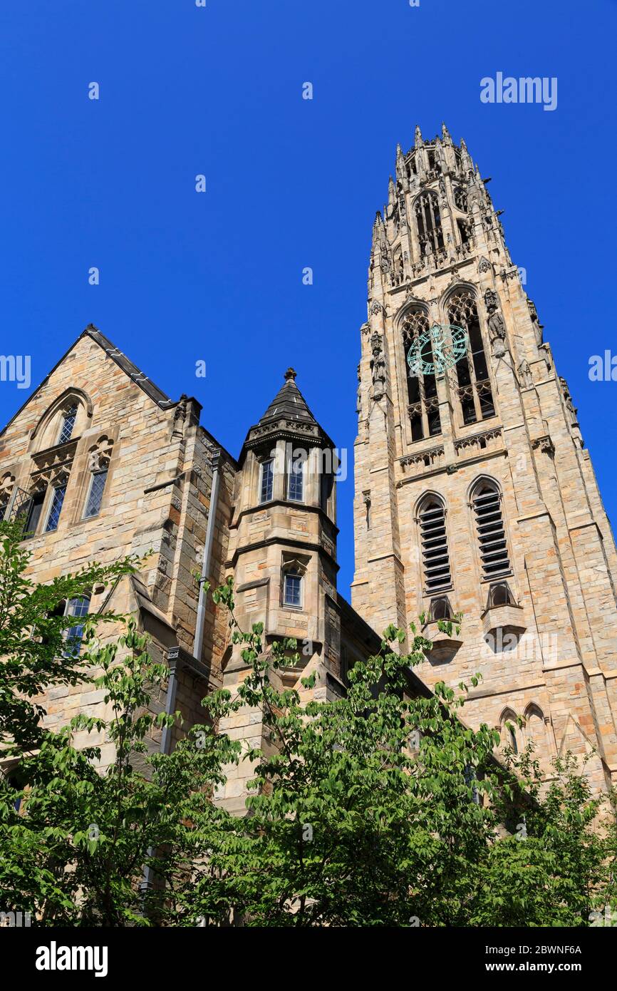 Harkness Tower, Yale University, New Haven, Connecticut, Stati Uniti Foto Stock