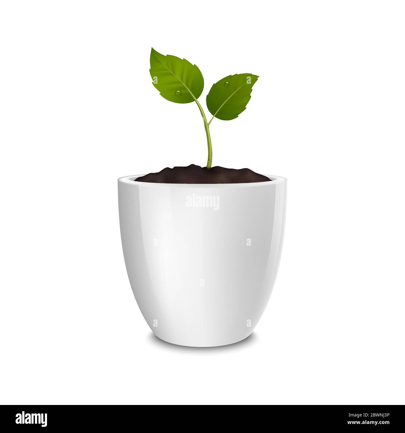 Concetto di crescita vettoriale. Modello di disegno di icona realistica del germoglio in un vaso di fiori bianco, isolato su sfondo bianco. EPS10. Illustrazione Vettoriale
