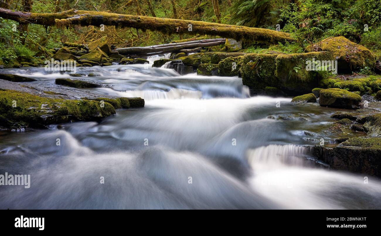 Foto a lunga esposizione di acqua corrente appena sotto le cascate di Alsea in Oregon. Foto Stock