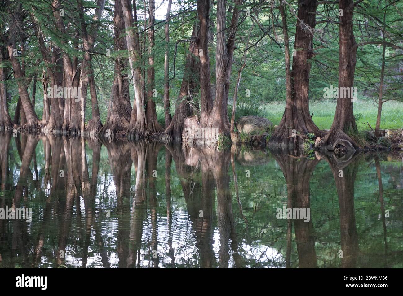 Serata presso il fiume Frio, Leakey, Texas Foto Stock