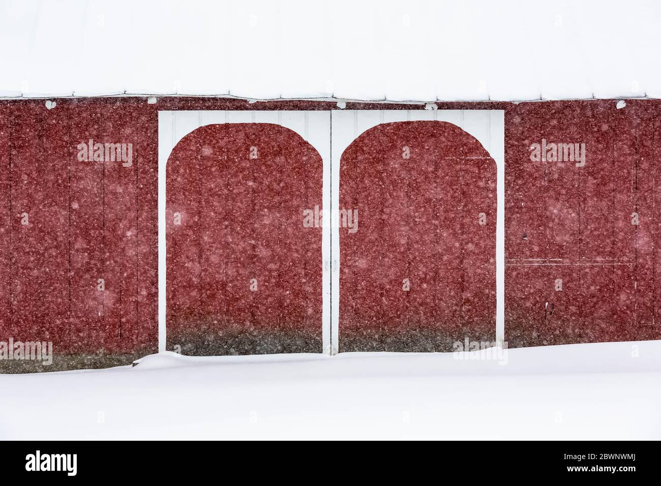 Granaio rosso con archi bianchi dipinti in modo che il contadino potrebbe trovare la sua strada alla porta di notte, durante una nevicata nel Michigan centrale, Stati Uniti [Nessuna proprietà Foto Stock