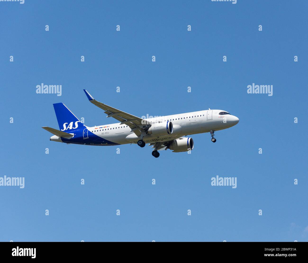 SAS Airbus A320-251N atterra all'aeroporto di Heathrow, London Borough of Hillingdon, Greater London, England, Regno Unito Foto Stock