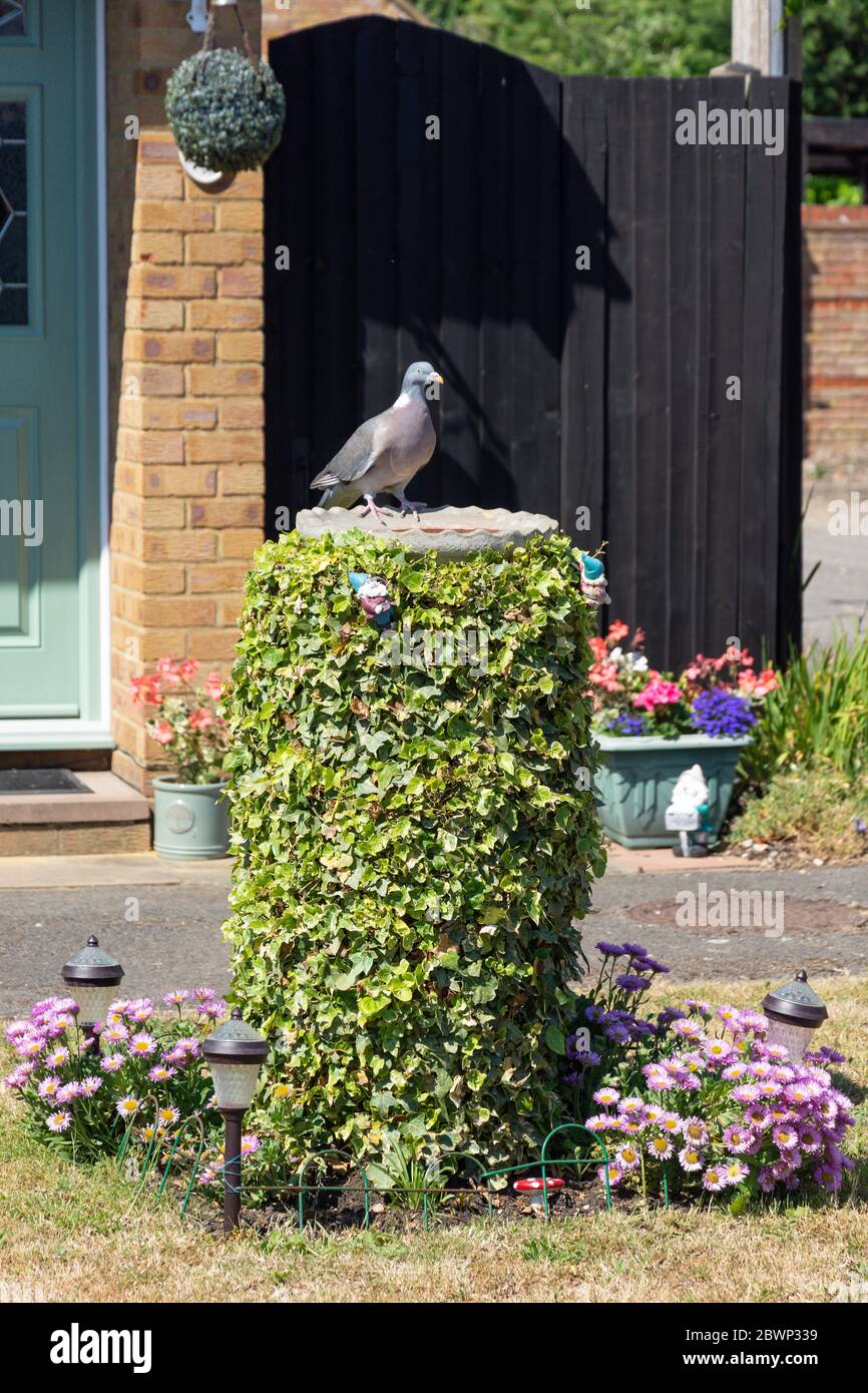 Bagno di uccello in giardino, Stanwell Moor, Surrey, Inghilterra, Regno Unito Foto Stock