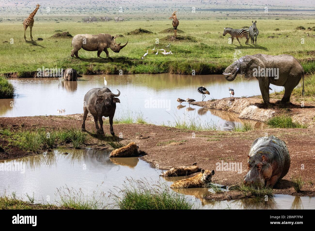 Kenya Africa safari scena con un grande gruppo di vari animali selvatici intorno a un buco di irrigazione Foto Stock