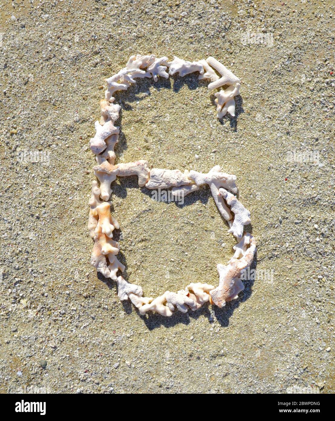 Il numero sei (6) è stato disposto su una spiaggia dell'isola di Heron in piccoli pezzi di corallo sbiancato bianco e soleggiato Foto Stock